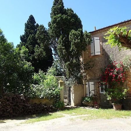 Sigean - Maison Domaine Viticole, 6 Km De La Mer Extérieur photo