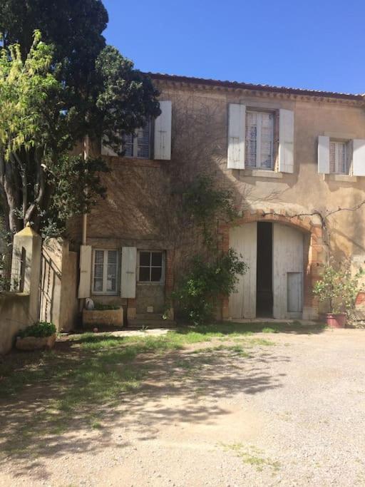 Sigean - Maison Domaine Viticole, 6 Km De La Mer Extérieur photo
