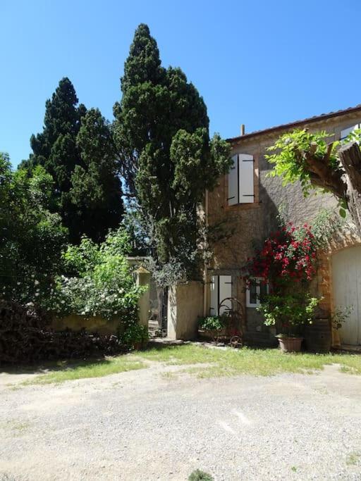 Sigean - Maison Domaine Viticole, 6 Km De La Mer Extérieur photo