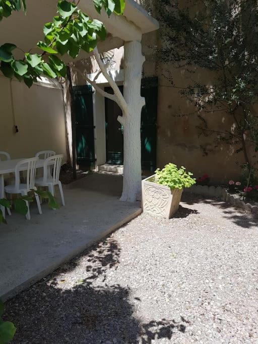 Sigean - Maison Domaine Viticole, 6 Km De La Mer Extérieur photo